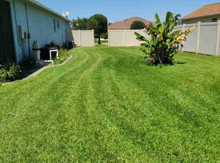 Frank D.'s Lawn Care service result
