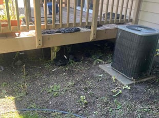 Cleanups by Seandell Carter Sr for Mose C. in Minneapolis, MN