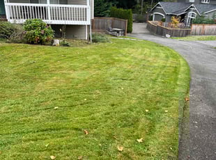 Ashlei B.'s Lawn Service service result