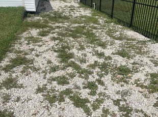 Weeding by Zach Hinkle for Will F. in Fort Myers, FL