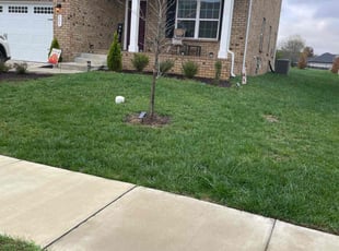 Luther m.'s Lawn Care service result