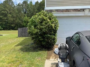 Bush Trimming by Amelia Brown for Michael D. in Blythewood, SC