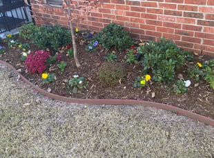 Cleanups by Edward Johnson for Jack C. in Edmond, OK