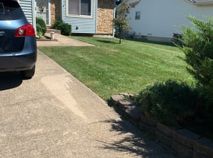 Sheila M.'s Lawn Mowing Service service result