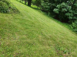 Stephen R.'s Lawn Care service result