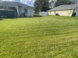 Brandon A.'s Lawn Care service result