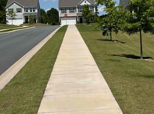 Randy W.'s Lawn Mowing Service service result