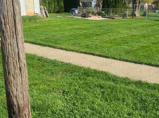 Layla T.'s Lawn Service service result