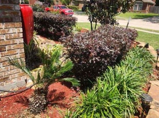 Bush Trimming by Javan Lopez for Carlos R. in Houston, TX