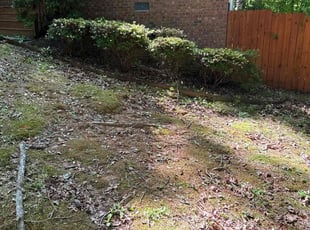 Bush Trimming by Cotey Carswell for Wenda M. in Jonesboro, GA