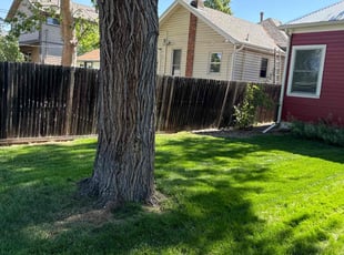 Melissa R.'s Yard Cutting service result