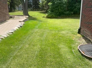 Mary Jane H.'s Yard Cutting service result