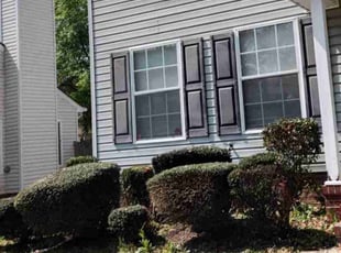 Bush Trimming by Kevin Rodgers for Donna K. in Columbia, SC