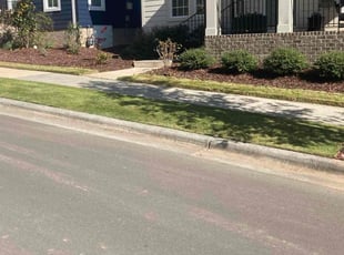 Keeley B.'s Lawn Mowing service result