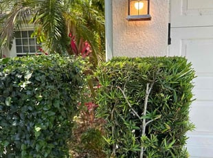 Bush Trimming by Harold Cummings for Juanita T. in Melbourne, FL