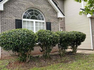 Bush Trimming by Mechelle Funches for Nakia R. in Locust Grove, GA