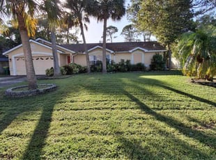 Aida R.'s Lawn Mowing Service service result