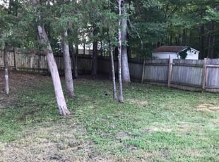 Cleanups by John Liles for Rose B. in Durham, NC