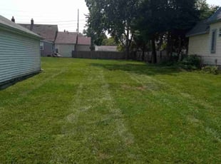 mike c.'s Lawn Care service result