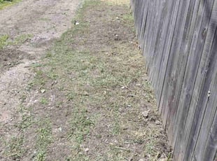 Landscaping by Robert Duke for Milana O. in Indianapolis, IN