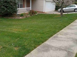 Leaf Removal by Jeremiah Davis for William E. in Charlotte, NC