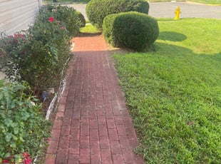 LaTasha M.'s Cleanups service result