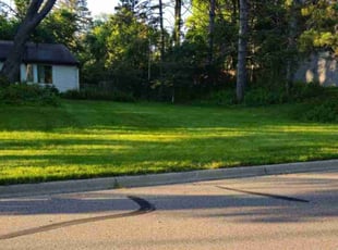 Van B.'s Lawn Care service result