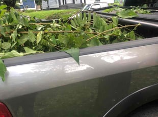 Leaf Removal by Jose Altamirano Diaz for Loretta P. in Louisville, KY