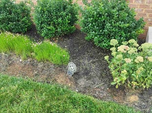 Amy T.'s Flower Bed Weeding service result