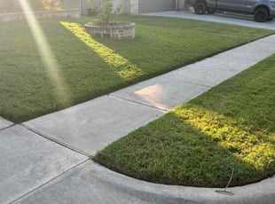 Torey V.'s Lawn Mowing Service service result