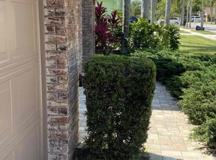 Bush Trimming by Scott Meyers for David Y. in New Port Richey, FL