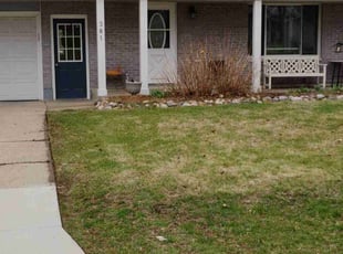 Cleanups by James Alden for Mary C. in Comstock Park, MI