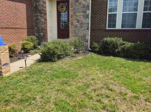 Bush Trimming by Brian Franz for Justin S. in Gainesville, VA
