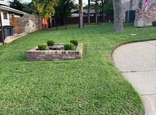 Andrei c.'s Lawn Mowing service result
