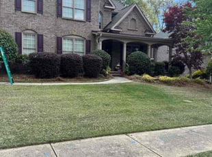 Tommy Z.'s Lawn Mowing Service service result