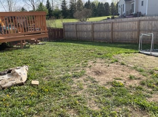 Cleanups by Warren Campbell for Lily B. in Columbus, OH