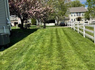 Caryn L.'s Yard Cutting service result