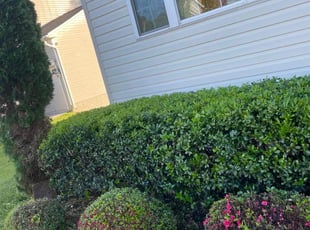 Bush Trimming by Yobani Benitez for Bov E. in Glen Burnie, MD