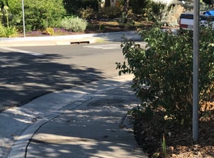 Leaf Removal by Michael Linley for Stanley B. in Sacramento, CA