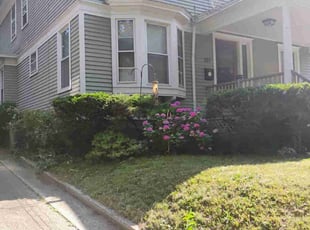 Jerrie M.'s Bush Trimming service result