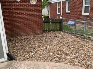 Leaf Removal by Harold Mabin Jr for Breanna C. in Kansas City, MO