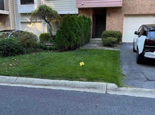 Shirley L.'s Lawn Mowing service result