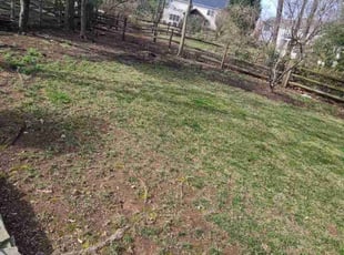 Leaf Removal by Rosemary Valle for Beth D. in Ashburn, VA