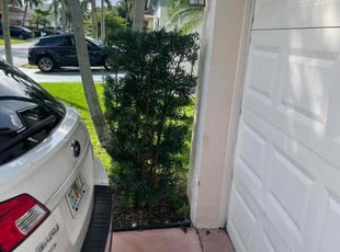 Bush Trimming by Charles Walton for Zan R. in Boynton Beach, FL