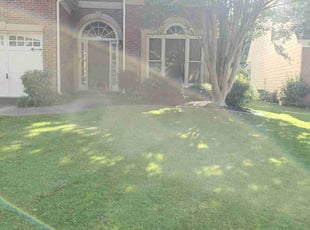 Bush Trimming by Peter Coke for Kerri T. in Marietta, GA
