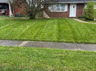 Funmilayo J.'s Lawn Service service result