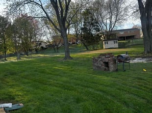 Madeleine W.'s Lawn Maintenance service result