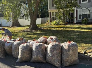 Leaf Removal by Larry Gordon for Julia C. in Chesapeake, VA