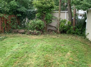 Cleanups by Marcus Williams for Latavia W. in Cleveland Heights, OH