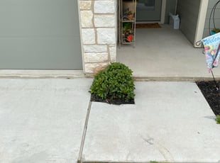 Bush Trimming by Joshua Benouis for Adam A. in Pflugerville, TX